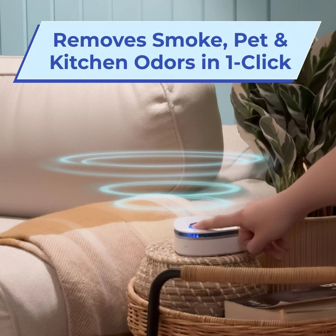 Ozzy Eliminate Smoke, Pet & Kitchen Odors in 1-Click